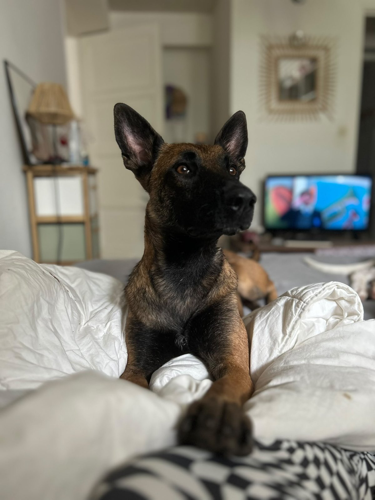 Ava couchée sur un lit