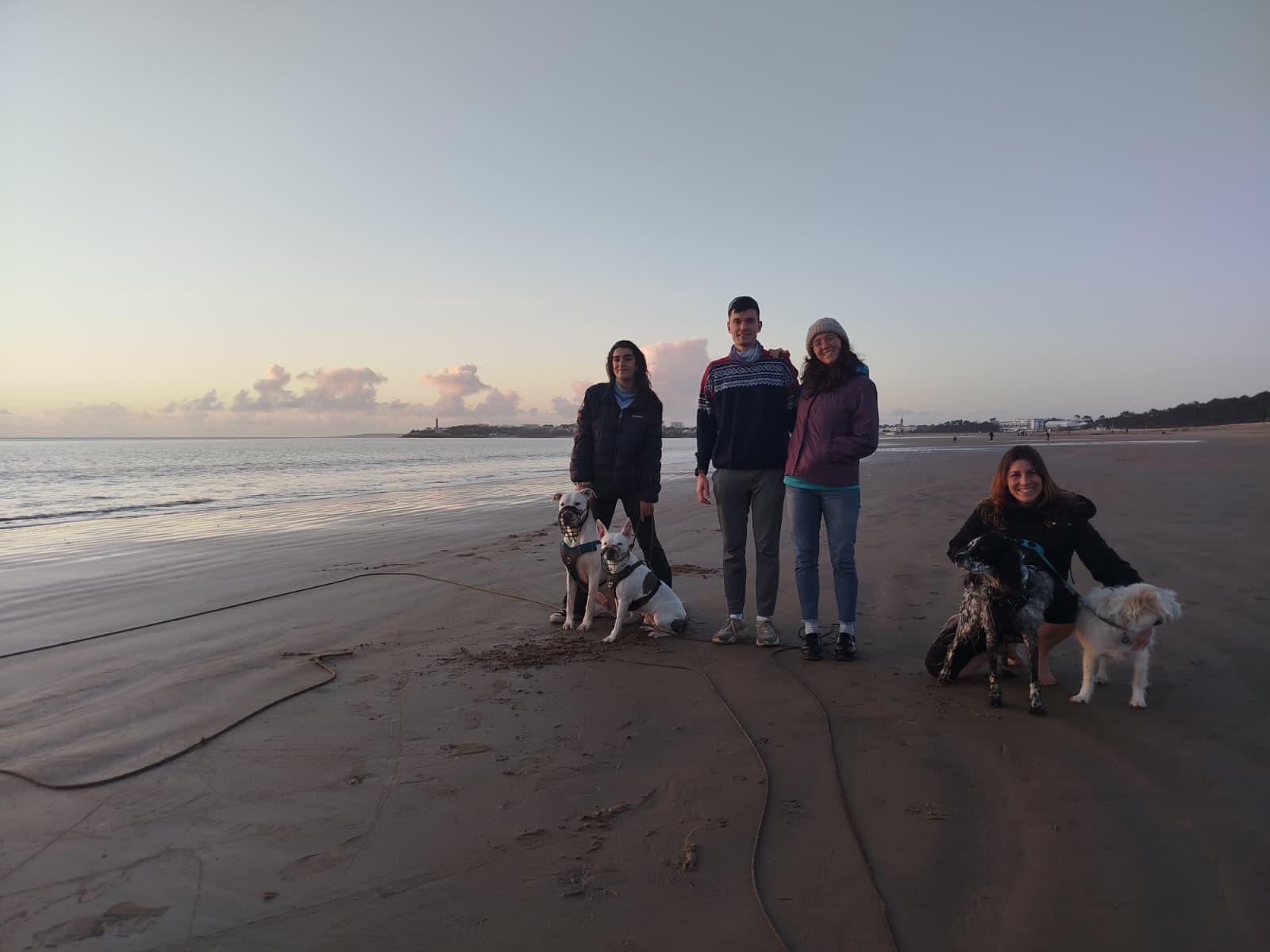 L'équipe des Ailes d'Ava sur la plage avec leurs chiens